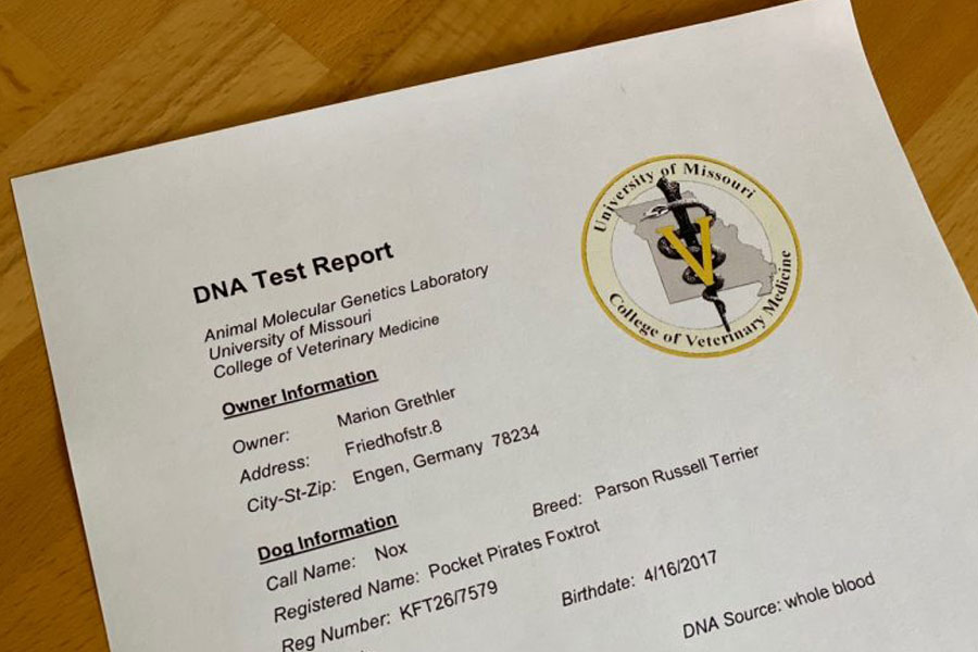 DNA-Testergebnisse