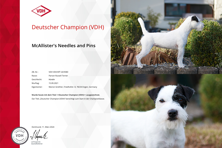 Deutscher Champion (VDH)